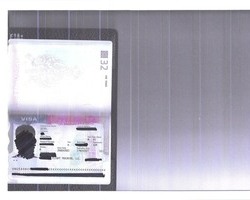 2022년 11월 항공비자 취득