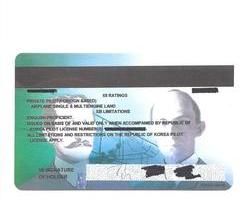 U.S Private Pilot License