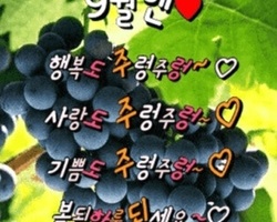 행복한 9월되세요