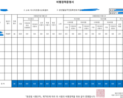 비행