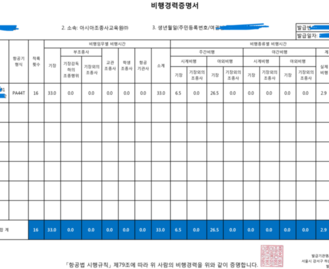 비행