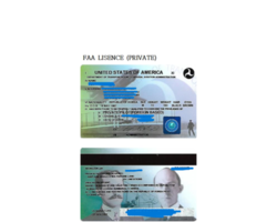 미국 faa ppl면장