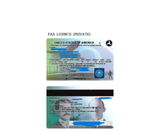 미국 faa ppl면장