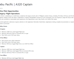 AIRLINE PILOT OPPORTUNITIES A3